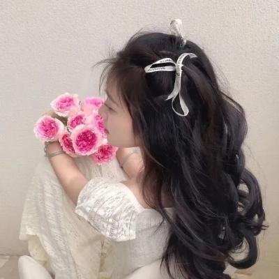 全职猎人剧场版：绯色的幻影